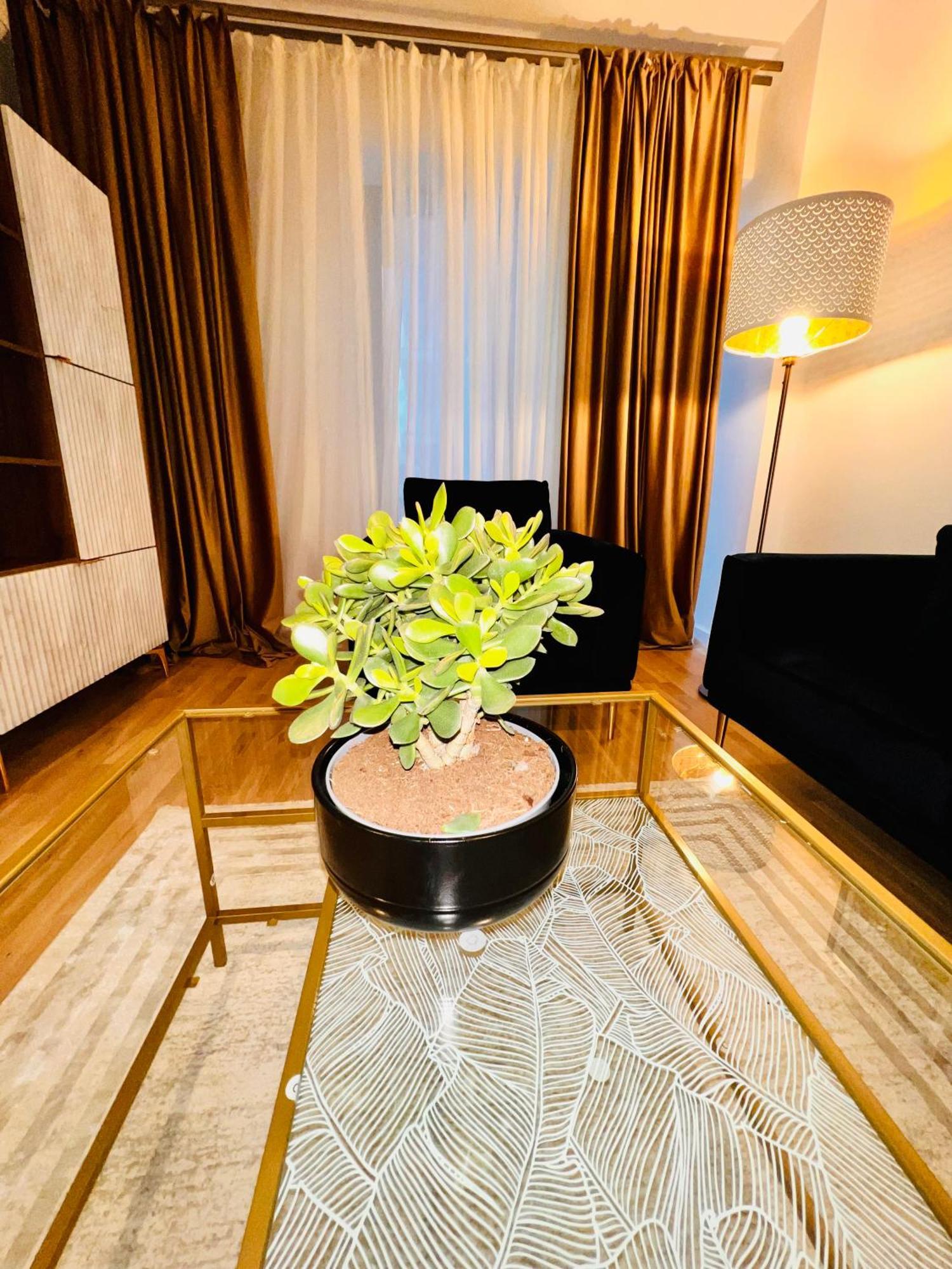 Cosy Stay 布加勒斯特 外观 照片